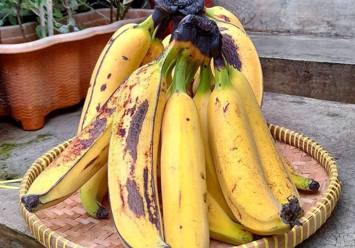 Manfaat Buah Pisang untuk Kesehatan!