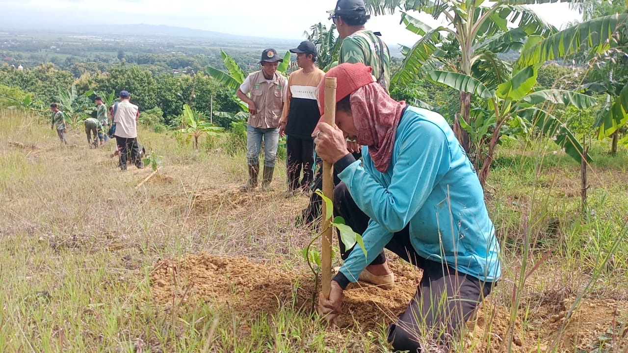 Prihatin Lahan Gundul Picu Banjir, Komunitas Laskar Muria Hijaukan Pegunungan Kendeng