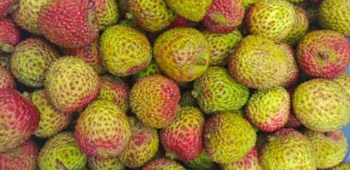 Manfaat Buah Leci Yang Manis Untuk Kesehatan 2552