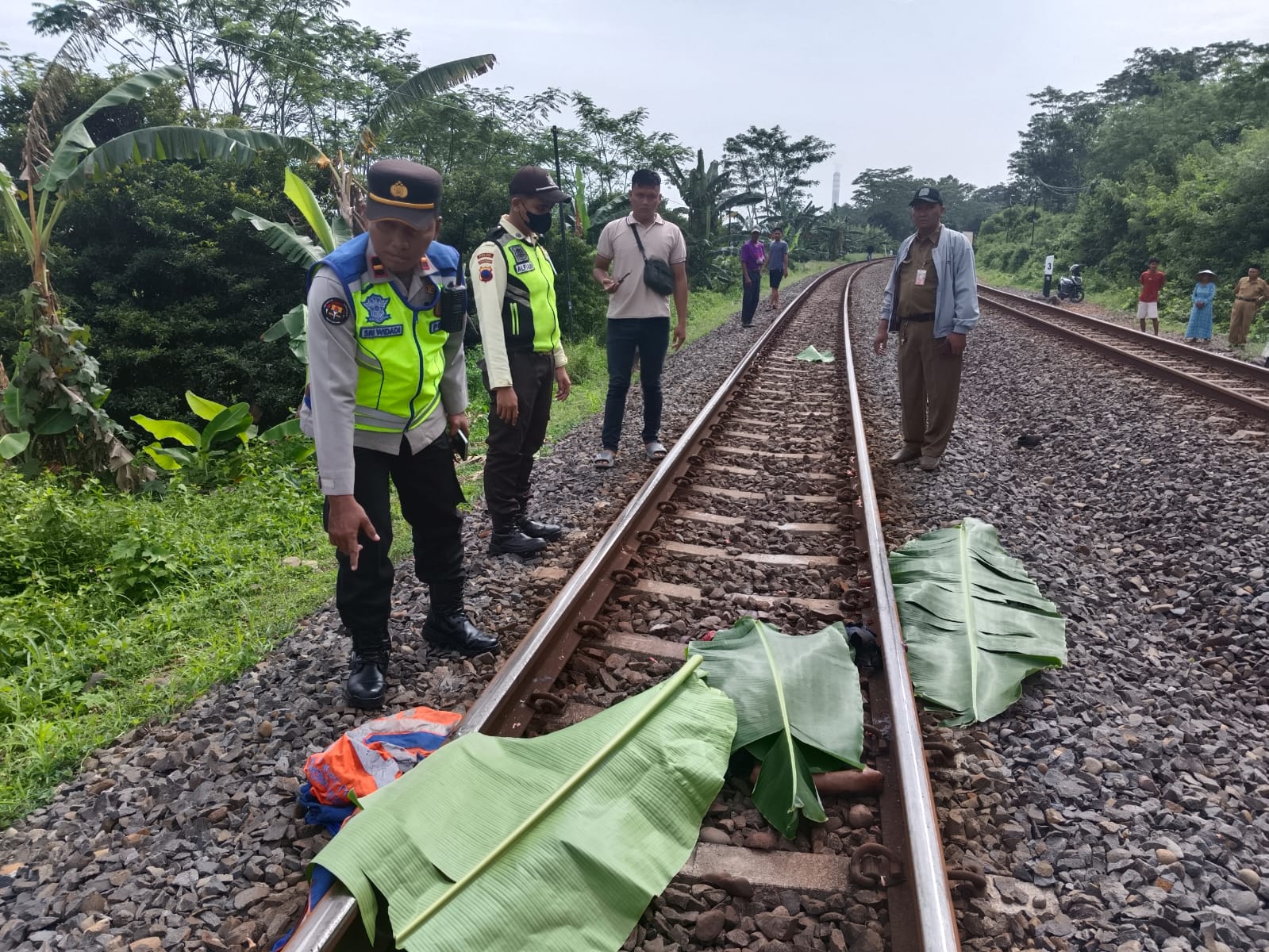 Petugas Pengontrol Rel Tewas Tertemper Kereta di Kandeman Batang