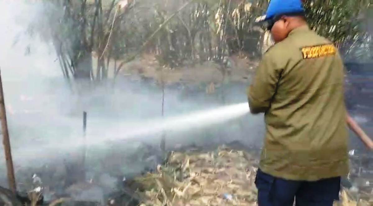 Musim Kemarau Melanda, Tegal Dilanda Serangkaian Kebakaran Lahan