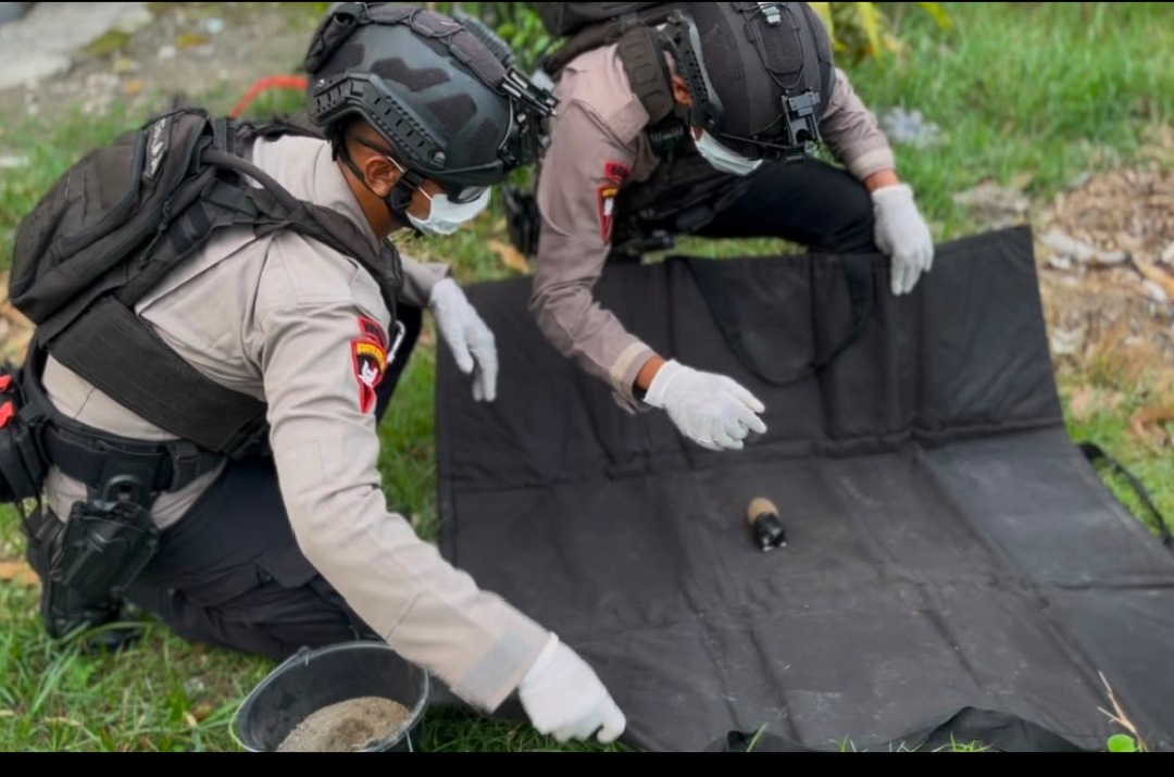 Petani di Penujah Tegal Temukan Granat Nanas di Lahan Jagung