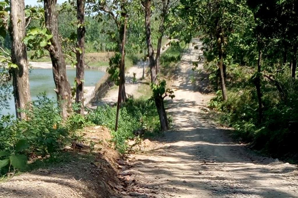 Erosi Sungai Pemali Rusak Belasan Hektar Lahan Pertanian di 2 Desa