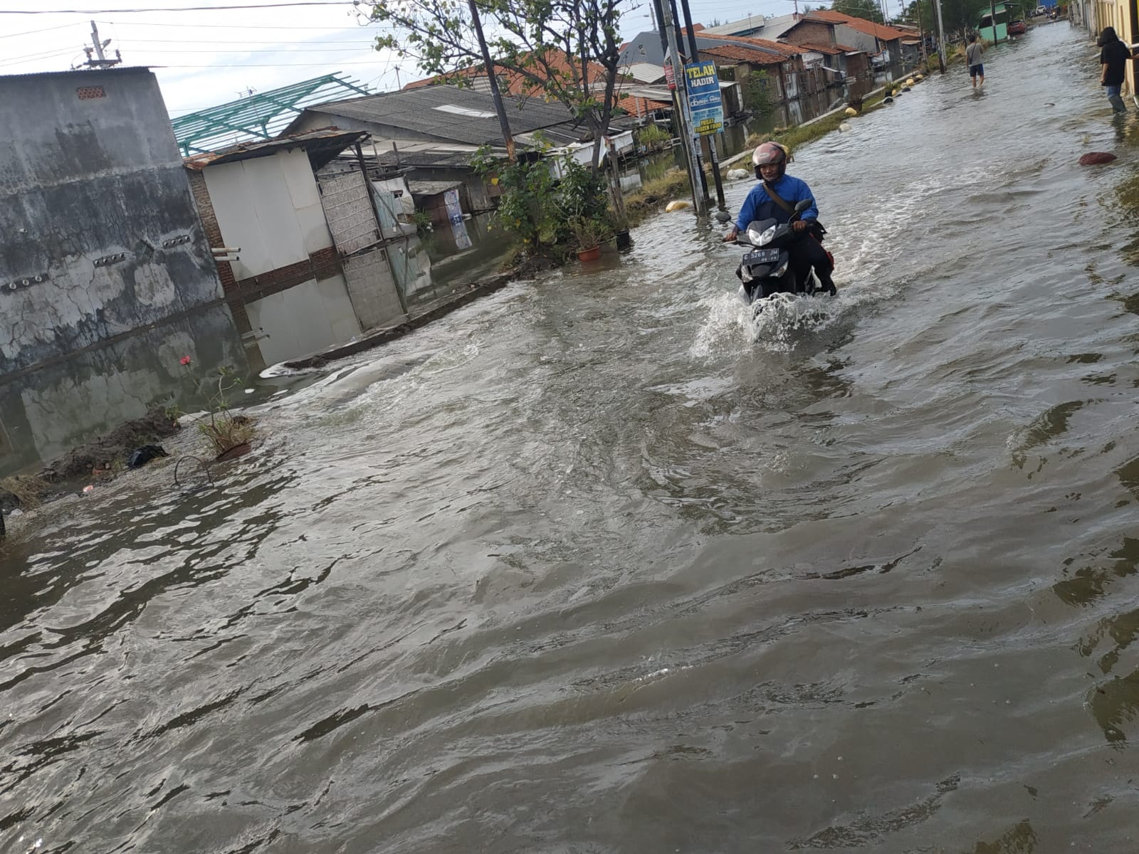 Rob Terparah di Kota Tegal, Sudah Tiga Hari Ratusan Rumah Warga Terendam Rob dan Puluhan Orang Mengungsi 