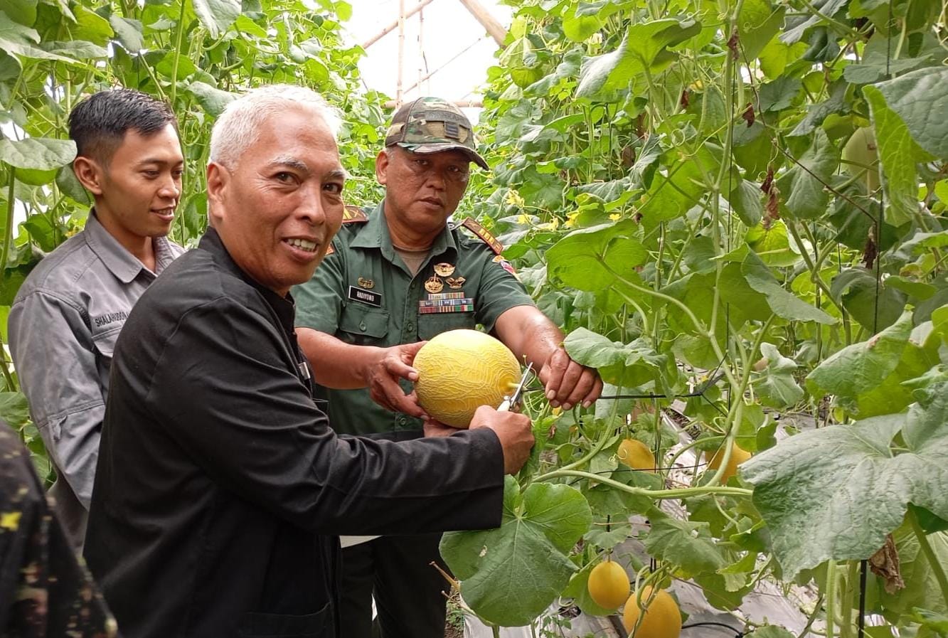 Wisata Petik Buah Melon di Agro Wisata Kalisapu Kabupaten Tegal