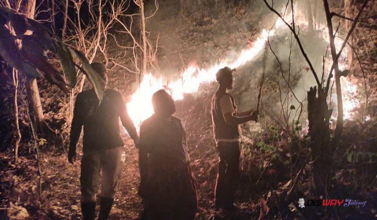Kebakaran Lahan 4 Hektare di Gunung Kanthil Kebumen, Api Padam Setelah 3 Jam