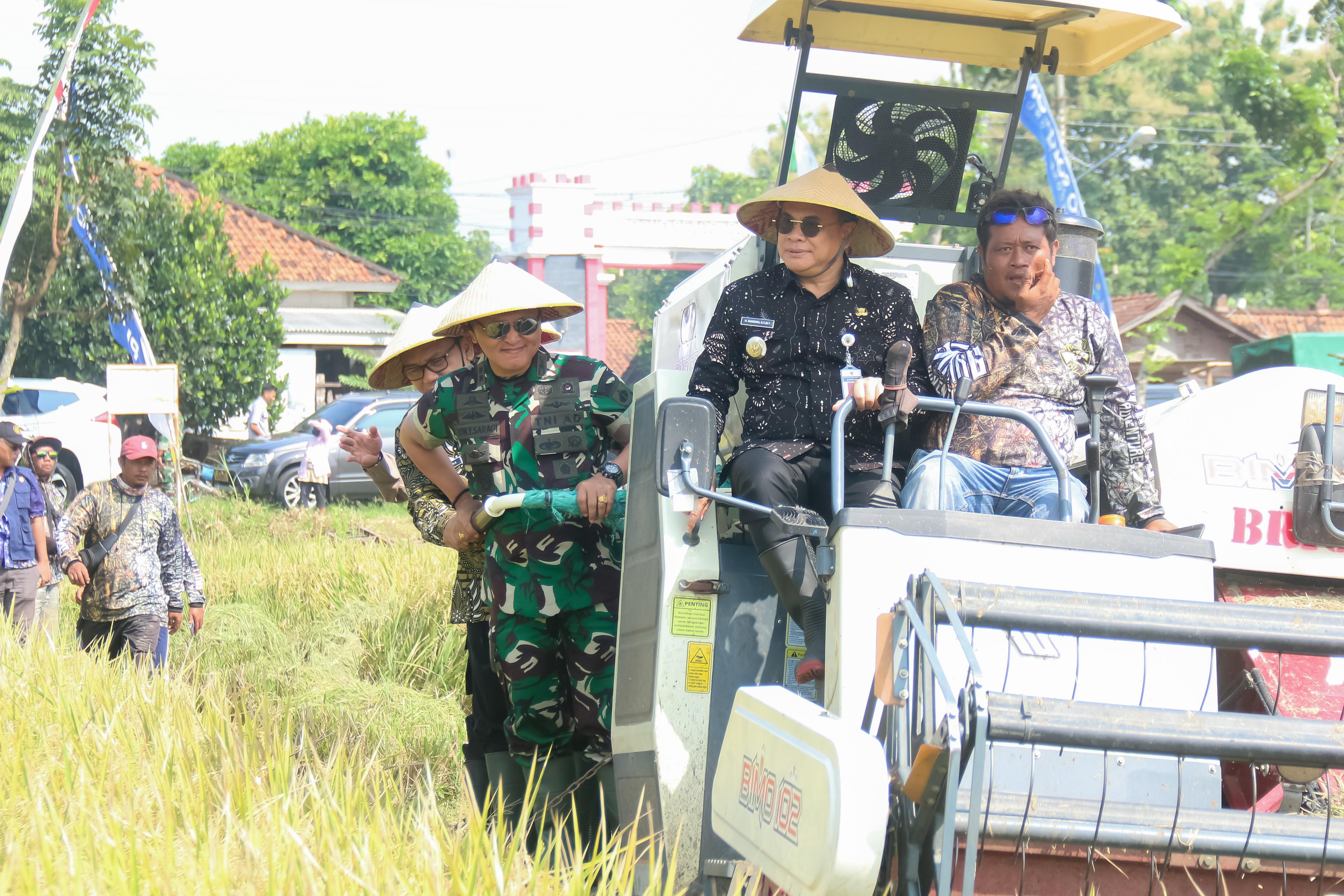 Incar Gelar Lumbung Pangan Nasional, Produksi Gabah Pati Lampaui Target