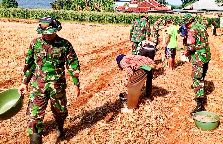 Dukung Program Ketahanan Pangan, Tanam Jagung 