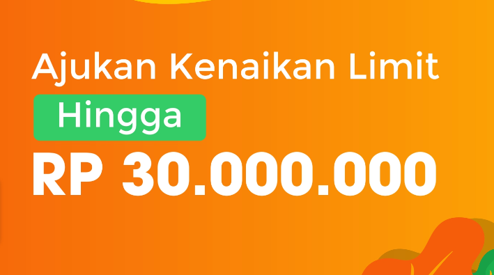 Cara Mendapatkan Limit Tinggi di Aplikasi Pinjol, Begini 5 Langkah Cerdasnya