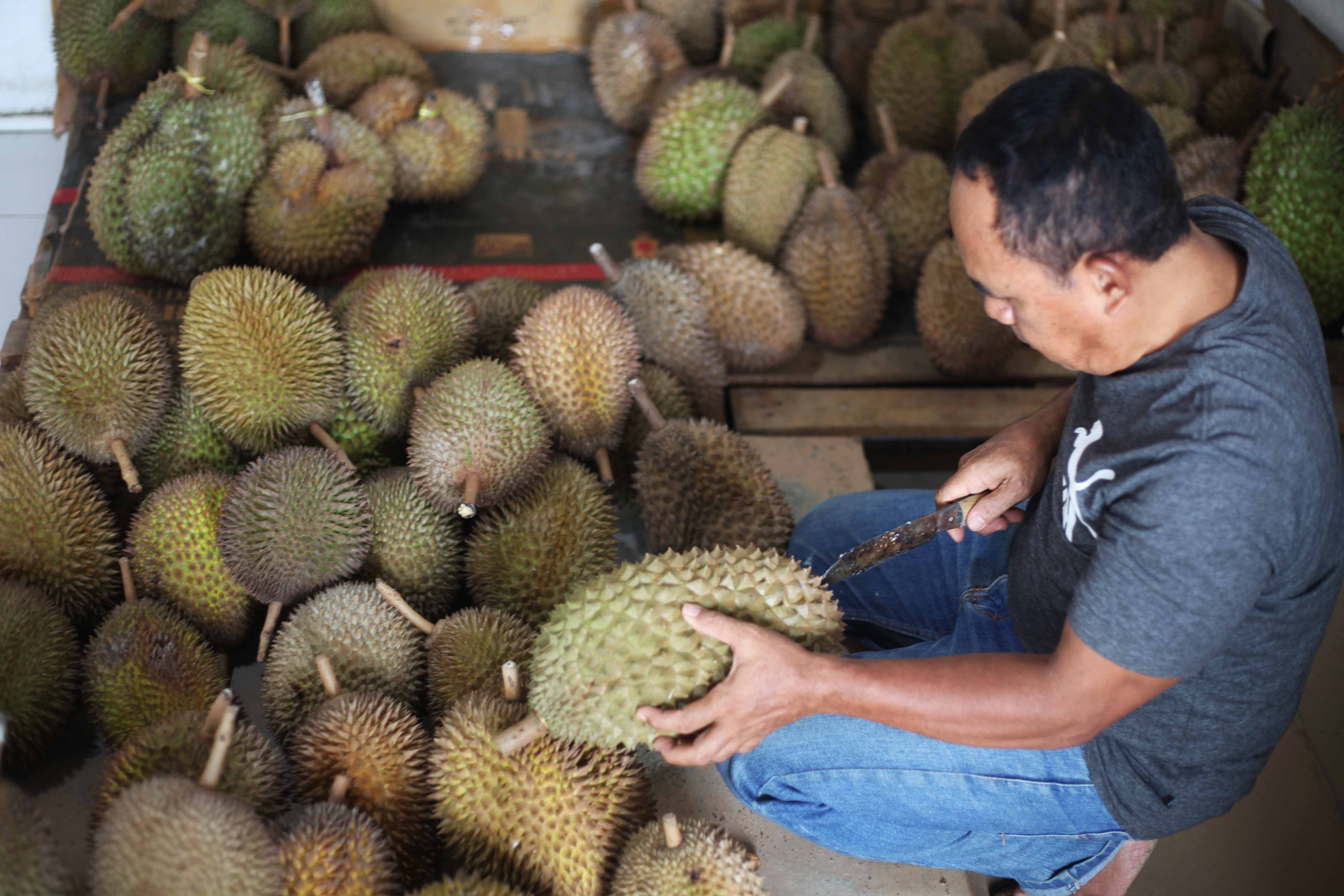 Setengah Ton Durian Bawor di Kota Tegal Ludes dalam 10 Hari