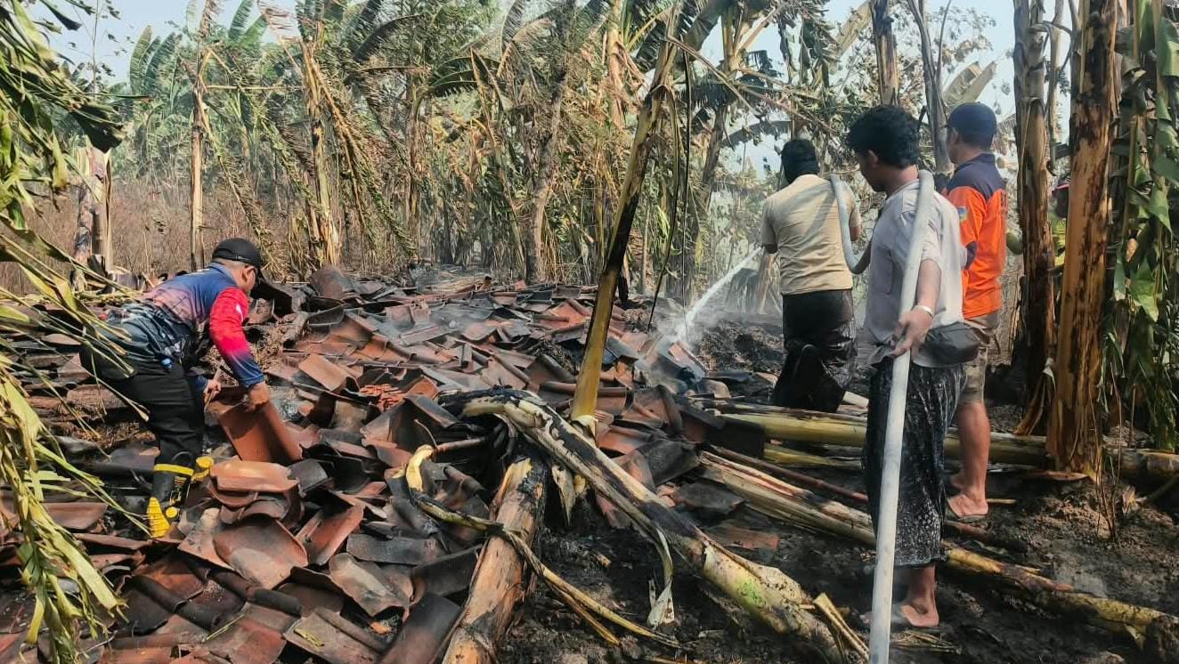 Dua Kandang Kerbau di Undaan Kudus Kebakaran