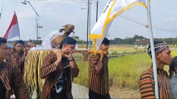 Kirab Ingkung Kambing Kendit dan 8 Gunungan Warnai Tradisi Rasulan Warga Wiro Bayat Klaten 