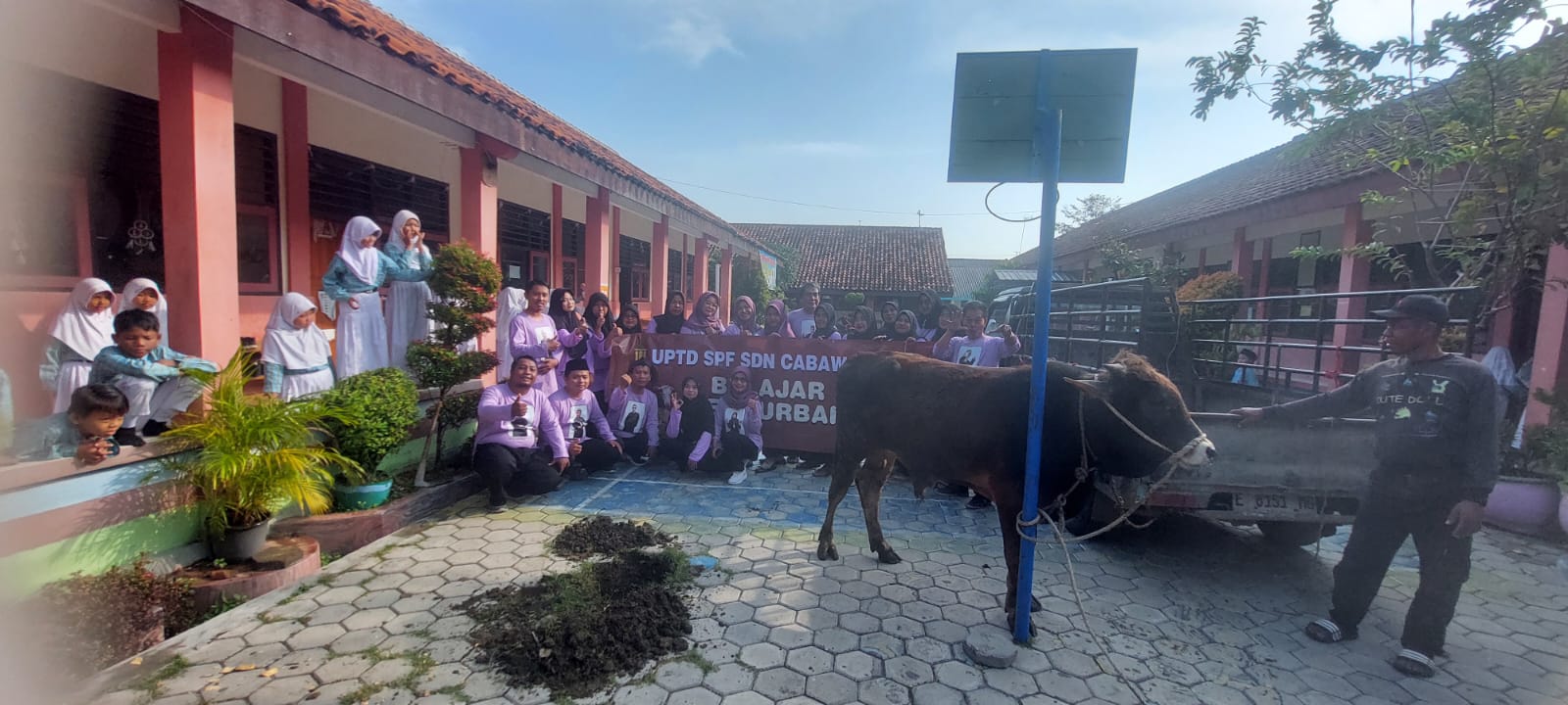 SD Negeri Cabawan 2 Kota Tegal Kurban 1 Sapi dari Tabungan Siswa 