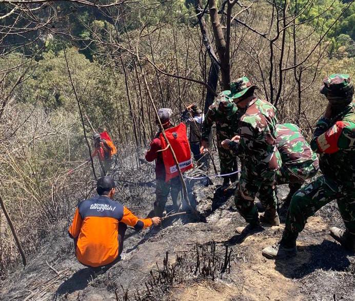 1,6 Hektare Hangus, Kebakaran Hutan di Lereng Gunung Merapi,