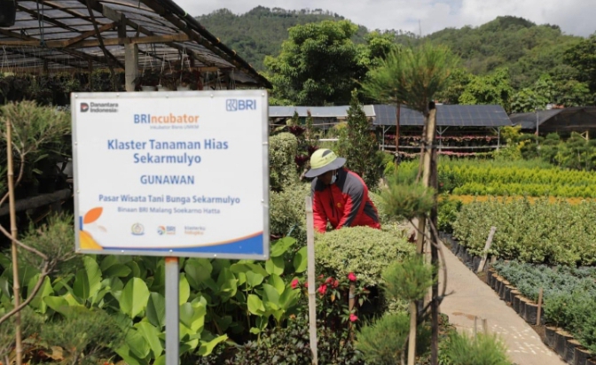 BRI Berdayakan 41 ribu Klaster Usaha melalui Pembiayaan dan Literasi Keuangan