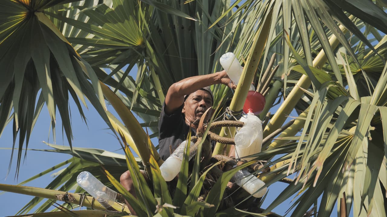 Desa Hendrosari Bangkit, Ekonomi Melaju Berkat Pemberdayaan Desa BRILian