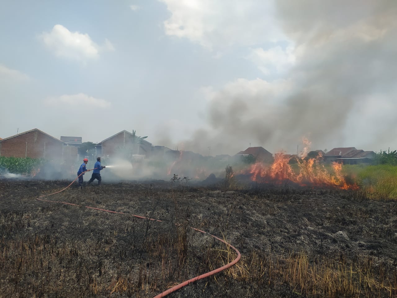 Sehari Empat Kali Kebakaran di Kabupaten Tegal, Ini Penyebabnya
