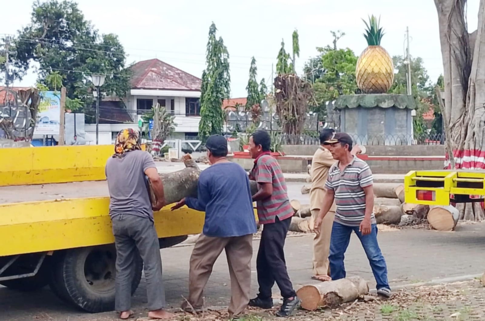 Disperkim Kabupaten Pemalang Kerahkan Pegawai dan Armada untuk Angkut Batang Kayu di Alun-alun