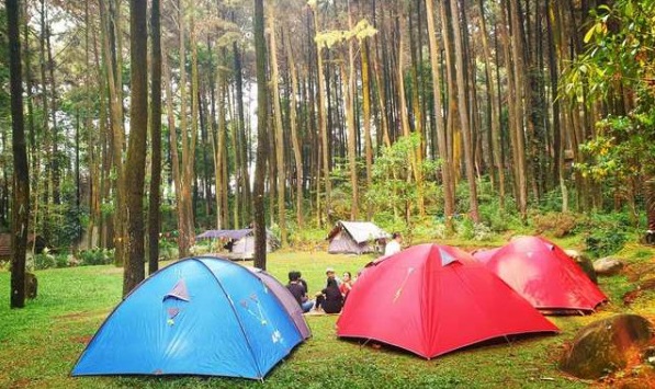 5 Tempat Camping di Jember yang Menawarkan Pemandangan Indah dan Asri, Cocok Dijadikan Spot Foto!