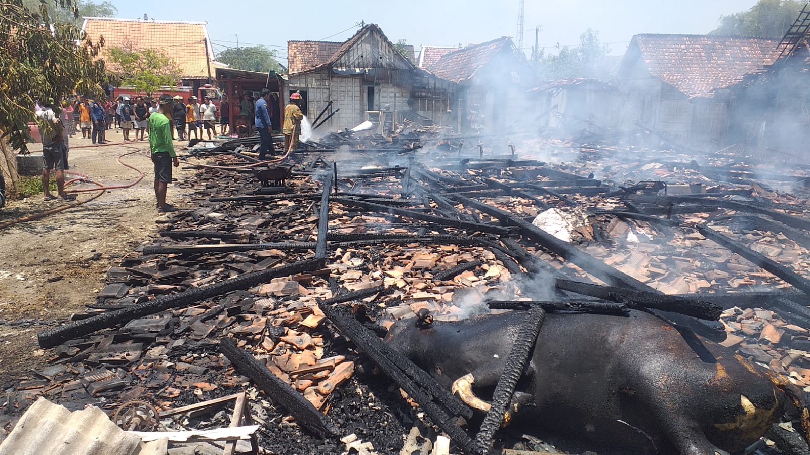 Berawal dari Bakar Jerami, Empat Rumah di Ngaringan Terbakar