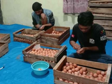 Harga Telur Mahal, Telur Pecahan Jadi Pilihan Warga Bumiayu