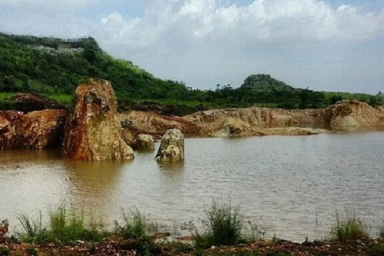 Danau Beko Margasari Tegal: Pesona Alam yang Mencengangkan di Jantung Jawa Tengah