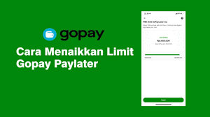 Cara Mudah Menaikan Limit GoPayLater