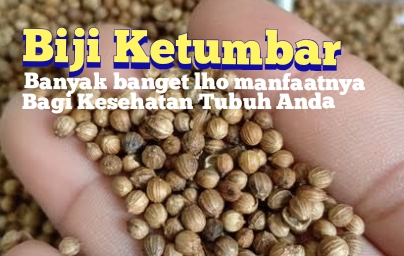 Jangan Kaget, Ini Lho Manfaat Biji Ketumbar Gak Nyangka Banget Nomor 5