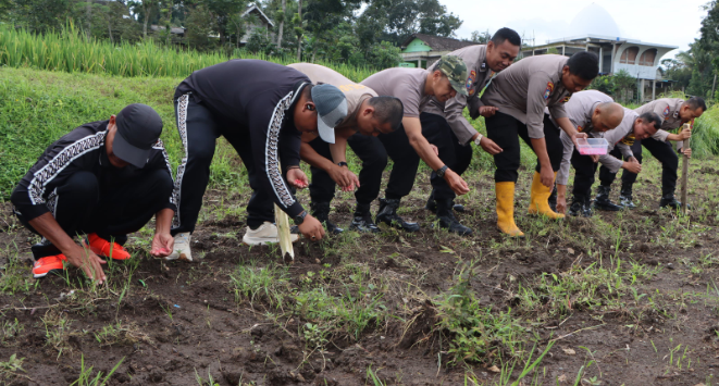 Kapolres Salatiga Tanam Jagung Hingga TInjau Ternak Ikak Lele Milik Anggotanya