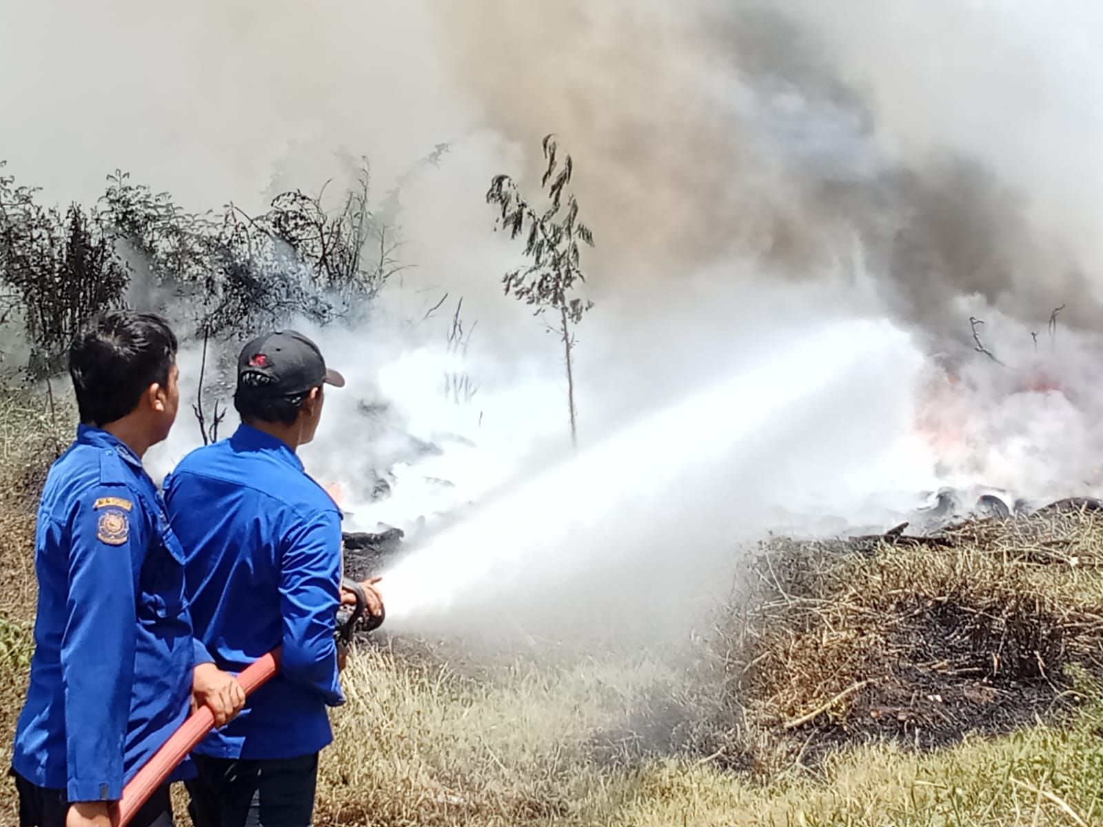 Sebanyak 130 Kasus Kebakaran Terjadi di Kabupaten Tegal Sejak Januari hingga Oktober 2024