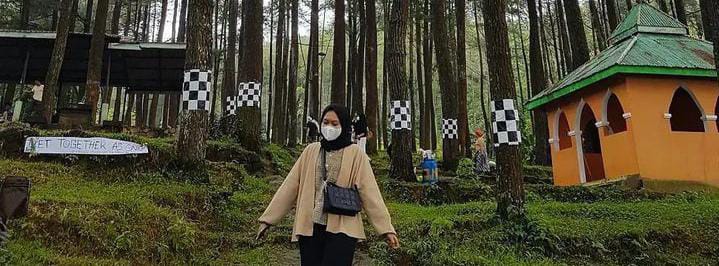 Hutan Pinus Nglimut: Destinasi Wisata yang Cocok untuk Camping di Kendal