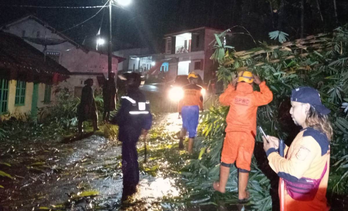 Rumpun Bambu di Sawangan Wonosobo Longsor, Sempat Tutup Akses Jalan Selama 1 Jam