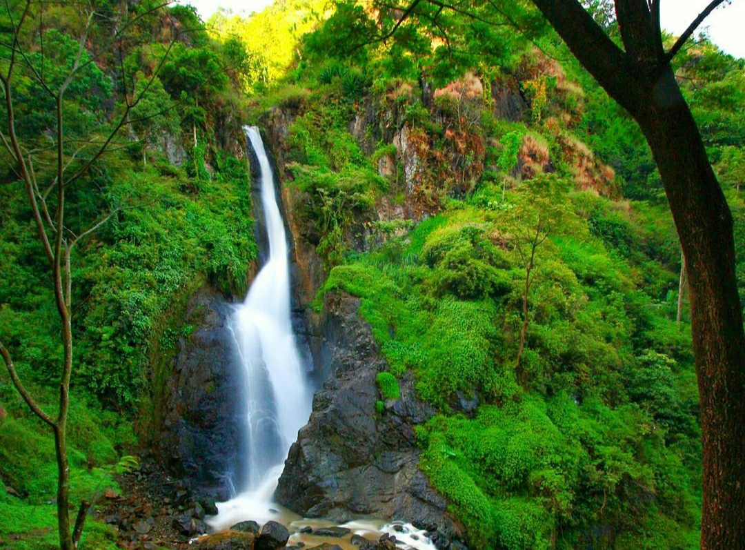 Air Terjun Pletuk Ponorogo: Air Terjun dengan Pesona Alam Hijau yang Tersembunyi