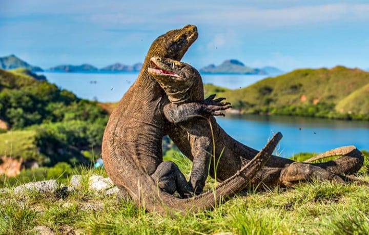 4 Rekomendasi Tempat Wisata Terbaik di Indonesia, Buat Anda yang Ingin Berlibur Bersama Keluarga Wajib Banget!