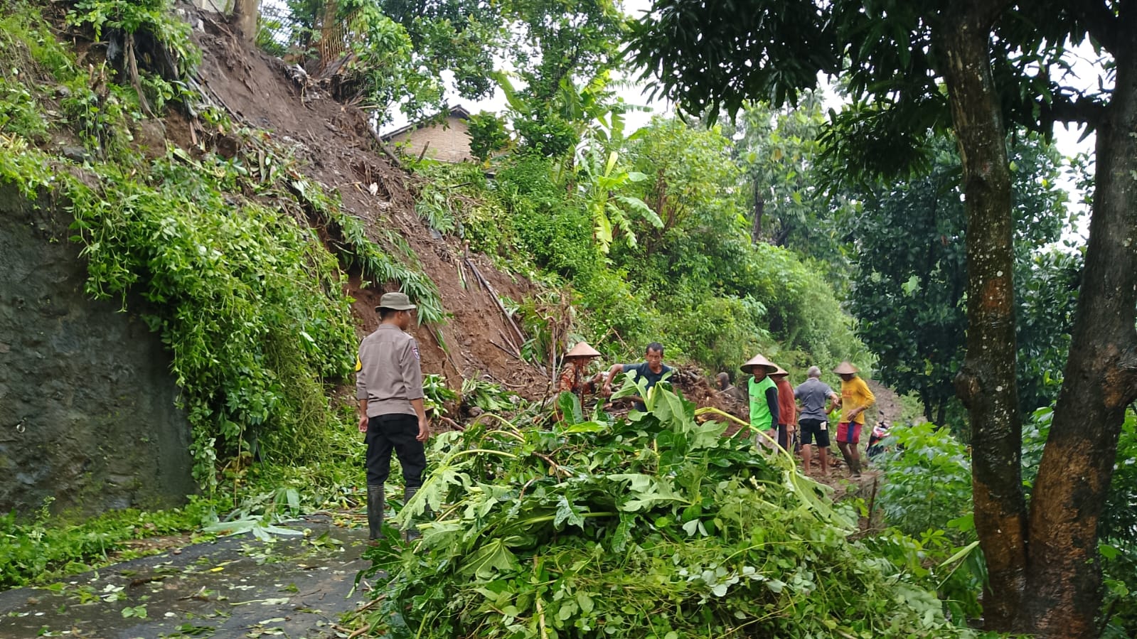 Bencana Tanah Longsor Mengintai Warga Semanding Jepara