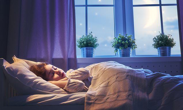 Hindari Begadang! 8 Manfaat Tidur Lebih Awal Bagi Kesehatan, Bikin Badan Segar Pas Bangun Pagi