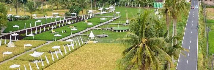 Svargabumi Magelang: Keindahan Panorama Tengah Sawah yang Menajubkan