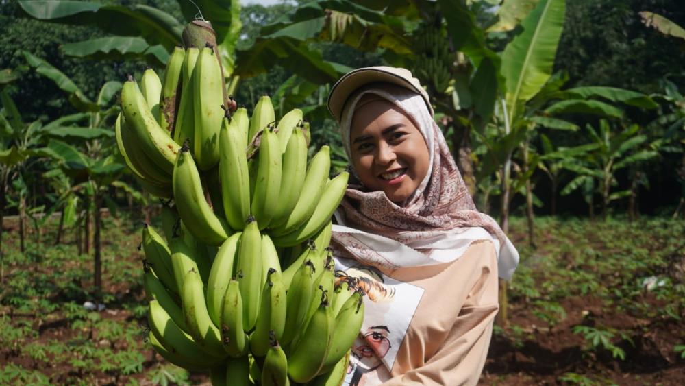 Program Petani Milenial Rp10 Juta Masih Tanda Tanya di Batang