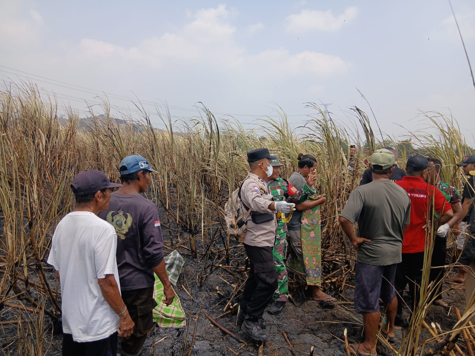 Diduga Terjebak Saat Membakar Lahan, Warga Sidamulya Tegal Tewas Terbakar 