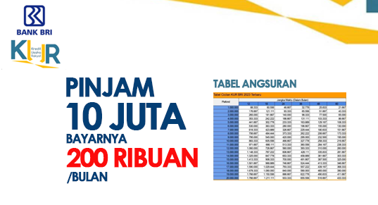 Cara Mengajukan dan Persyaratan KUR BRI Lewat Online, Begini Caranya!