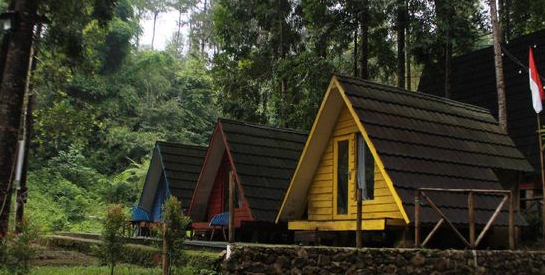 Review Wisata Wonderful Citamiang Bogor, Tempat Glamping yang unik dan Mewah di Tengah Hutan Pinus!