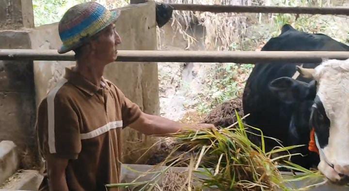 Guna Memenuhi Kebutuhan Air Bersih, Warga Lereng Gunung Merapi Terpaksa Menjual Hewan Ternak