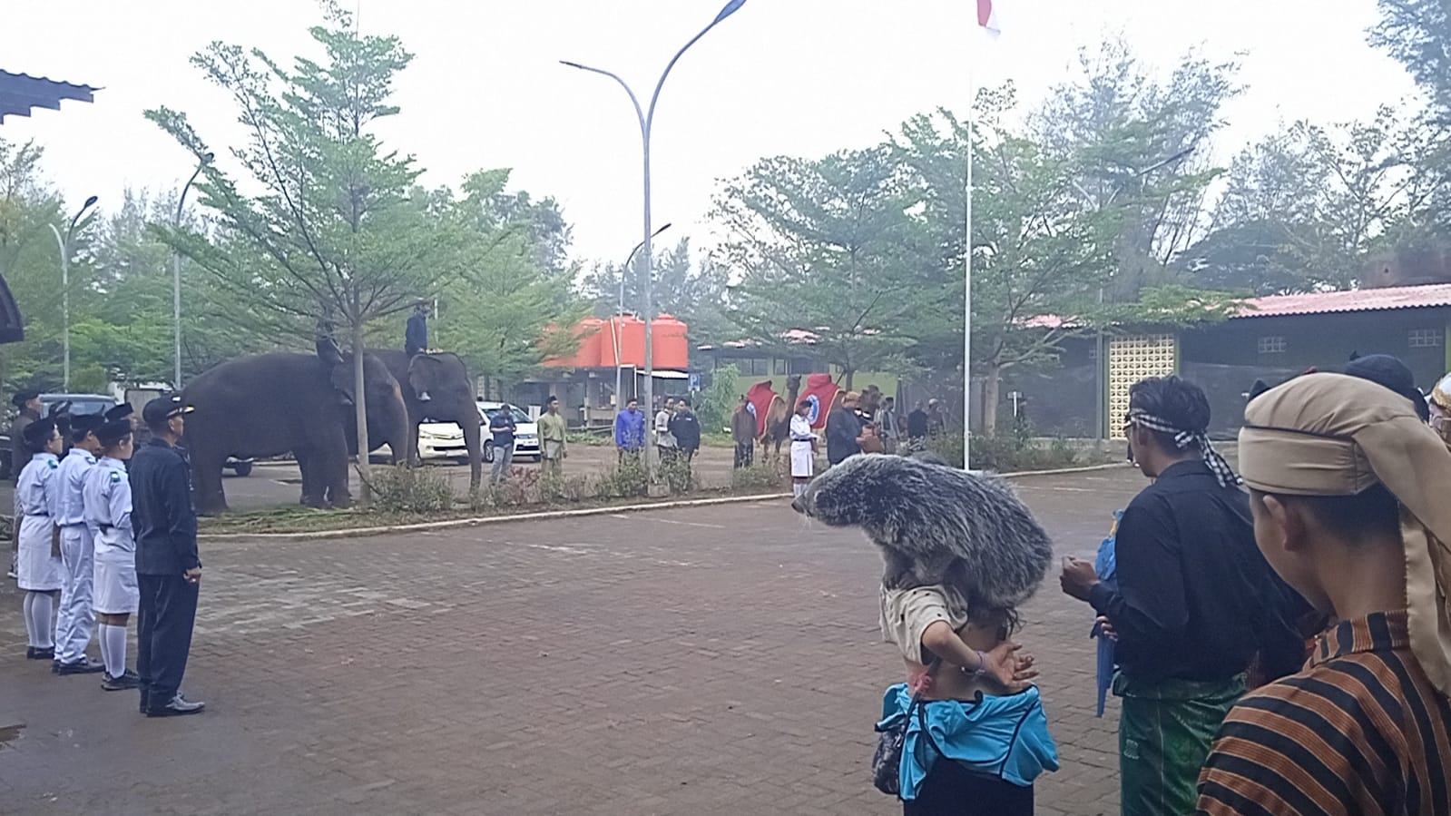 Gajah, Unta hingga Ular Ikut Upacara HUT ke-81 RI di Beach Safari Batang