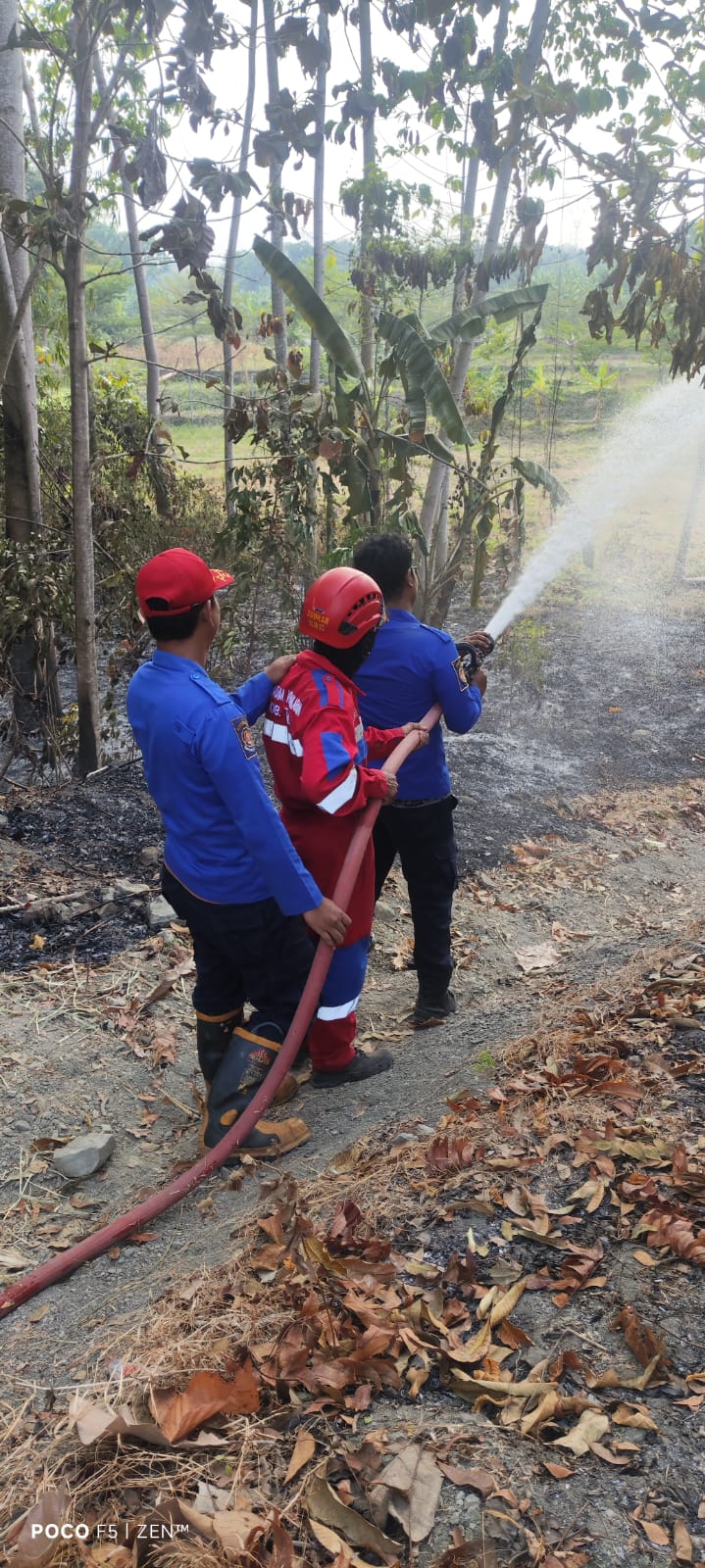 Bakar Sampah Berujung Petaka, Dua Lahan Alang-alang di Tegal Terbakar dalam Sehari