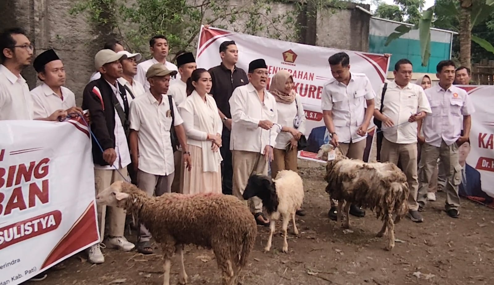 Penuhi Janji Kampanye, 39 Kambing Qurban Diserahkan ke DPC Gerindra Grobogan