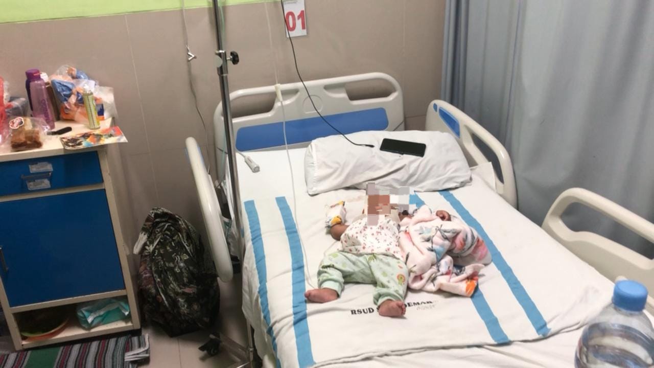 Diserang Monyet Liar Bayi 4 Bulan di Demak Terluka