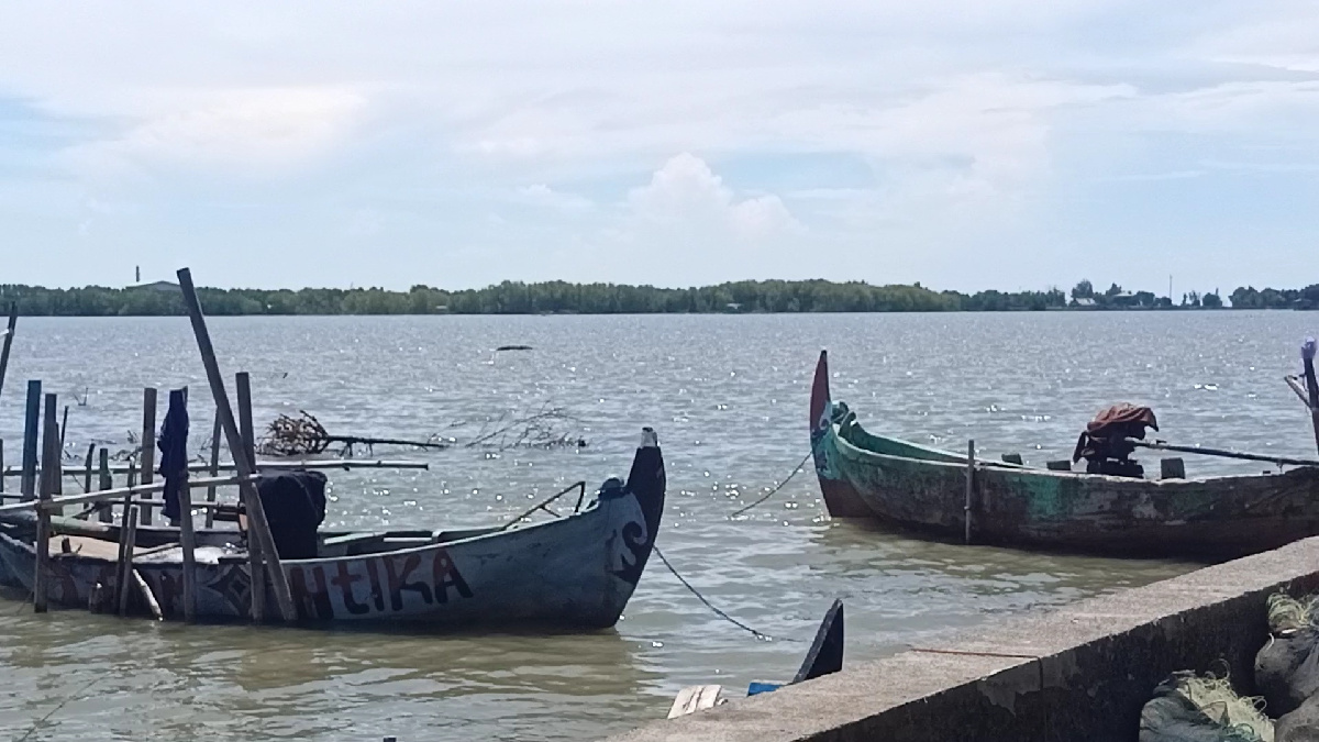 300 Hektar Tambak Mangunharjo Terdampak Rob, Produksi Ikan Payau Menurun