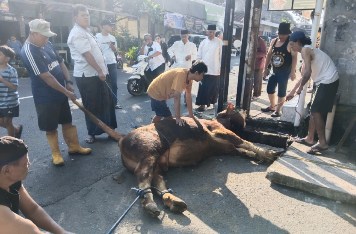 Pemotongan Hewan Kurban Secara Mandiri Jadi Tontonan Warga di Salatiga