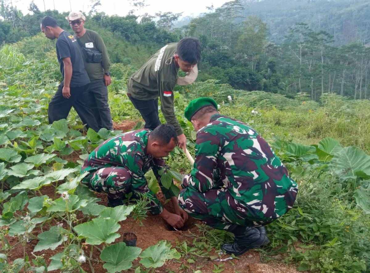 Cegah Longsor, Koramil Watumalang Bersama Relawan Sampah Tanam 500 Pohon di TPS Wonokampir 