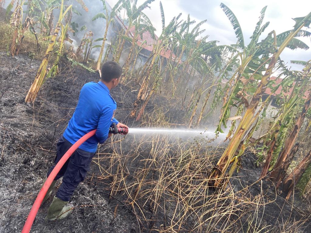 Sehari 4 Insiden Kebakaran Terjadi di Kabupaten Tegal